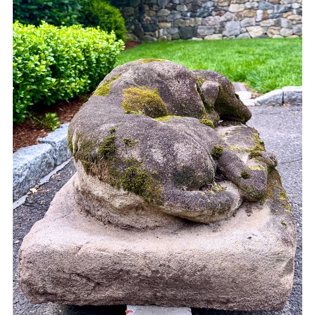 Cast Stone Dog Garden Statue With Moss Patina Mid 20th Century For Sale In New York - Image 6 of 15