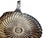 Bidermeier Marinated Tomatos Spoon, France, 1900s For Sale - Image 12 of 18