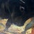 20th Century Spanish School Oil on Canvas Framed Signed Titled Matador For Sale - Image 9 of 12