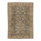 Shop Apadana Rugs & Carpets