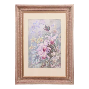 Orchid & Hummingbird Watercolor by William Morley, Antique Oversize