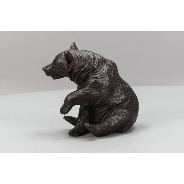 Antique Black Forest Carved Seated Bear Figure, 1890s For Sale - Image 9 of 18