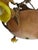 Antique Neoclassical Amber /Honey Alabaster, Gilt Bronze Chandelier W-Griffin Mounts For Sale - Image 15 of 18