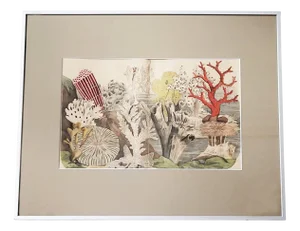 Antique Zoological Print with Coral & Anemones, 19th Century