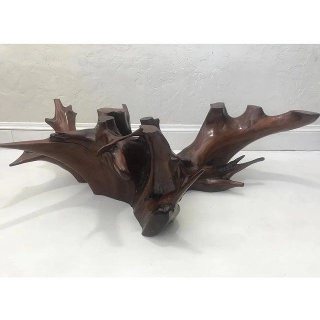 Mid Century Spanish Walnut Root Glass Top Coffee Table For Sale - Image 11 of 15