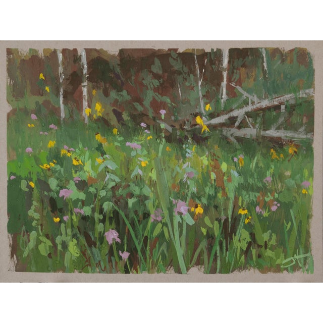 Flowers, Showers by Judd Mercer | Gouache On Paper Floral landscape with various wildflowers. For Sale