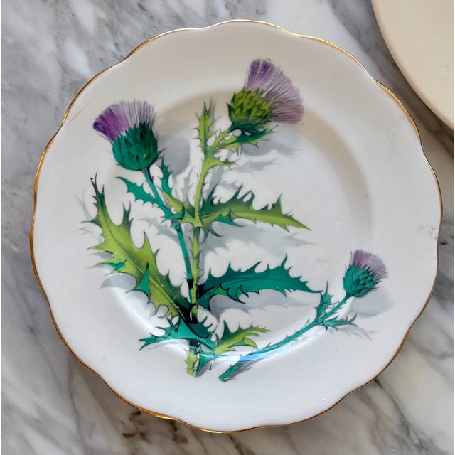 Mid 20th Century Painted Petals Eclectic Floral Wall Plate Curation - 8 Piece Set For Sale - Image 9 of 16