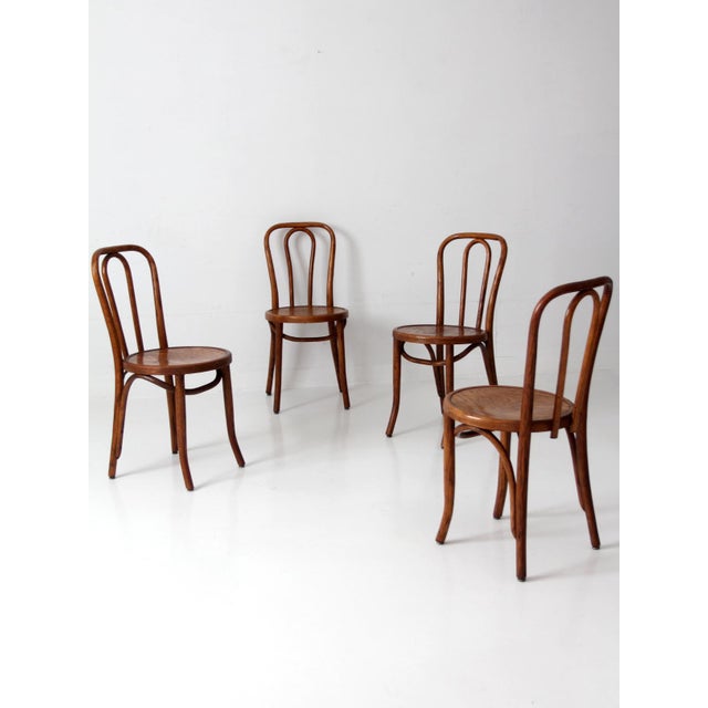 Brown Set of Four Antique Great Northern Bentwood Dining Chairs For Sale - Image 8 of 15