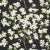 Schumacher Blooming Branch Fabric in Black For Sale