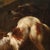 Lombard Artist, Shepherd with His Dogs, 1660, Oil on Canvas For Sale - Image 4 of 15