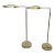Pair Mid-Century Modern Brass Leaf Floor Lamps, Attributed to Tommaso Barbi For Sale