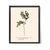 Antique Botanical Set in Oxblood - Set of 8 11" X 14" For Sale - Image 11 of 12