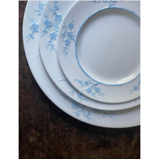 Chinoiserie 1970s Set of Twelve (12) Spode Blanche De Chine Cherry Blossom English 7 7/8” Plates For Sale - Image 3 of 8