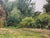 Paper 1950s Oil Painting Near the Forest Yakovlev B. N. For Sale - Image 7 of 12