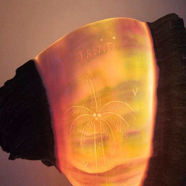 1970s Tahitian Turbo Marmoratus Mother-of-Pearl Shell Mood Lamp For Sale - Image 15 of 16