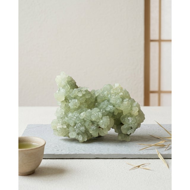 A quiet natural Prehnite specimen selected for its soft botanical green tone, botryoidal crystal formation, and compact...