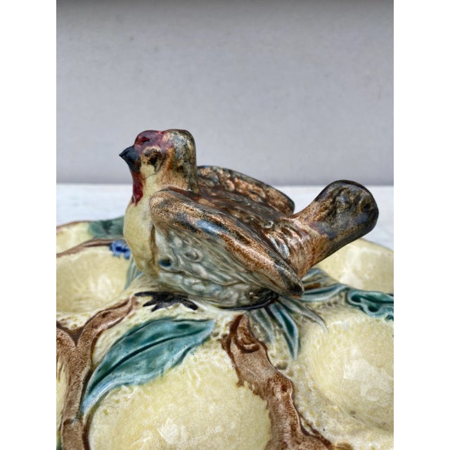 Belgium Majolica Egg Plate With Bird, Circa 1880 For Sale In Austin - Image 6 of 7