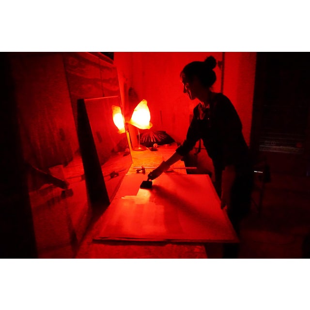 "Vintage Botanical Pressed Flowers Nº3", Botanical Cyanotype, Limited Edition 2020 For Sale - Image 10 of 11