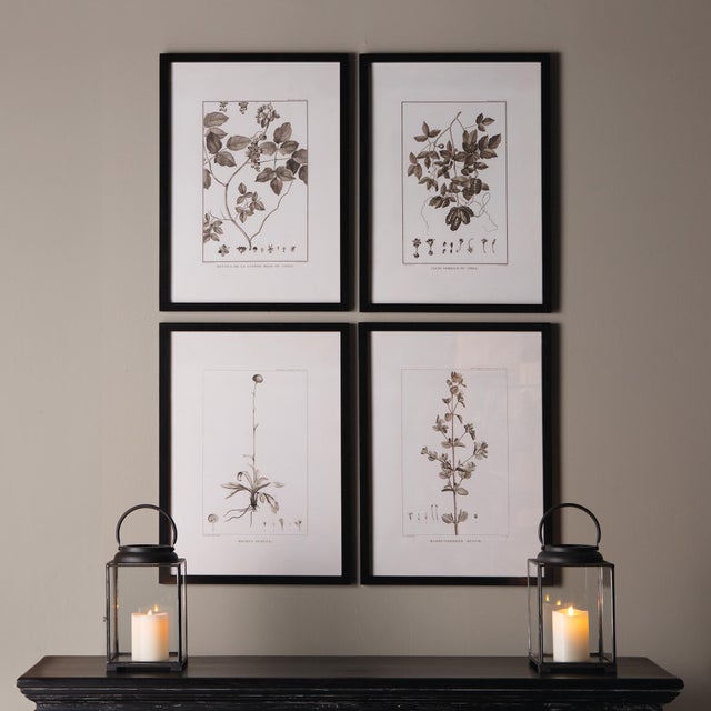 Modern Framed Sepia-Tone Botanical Prints, Set Of 4 For Sale - Image 3 of 3
