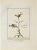Ancient roman fresco from the series "antiquities of herculaneum", is an original etching on paper realized by nicola...