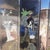 Late 20th Century Vintage Chinese Black Lacquer 4-Panel Folding Screen, Hand-Painted Chinoiserie Room Divider For Sale - Image 5 of 10