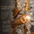 Contemporary Aloadecor 21-Light Tree Branch Glass Chandelier in Antique Brass With Clear Glass for Foyers For Sale - Image 3 of 7