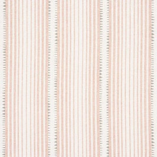 Schumacher X David Oliver Moncorvo Fabric in Blush For Sale