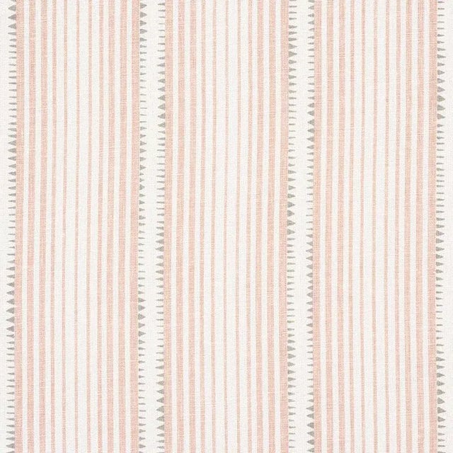 Schumacher X David Oliver Moncorvo Fabric in Blush For Sale