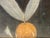 Oil Portrait of King Charles II in Armour With the Order of the Garter English School, Circa 1850, After Sir Peter Lely (1618–1680) For Sale - Image 14 of 18