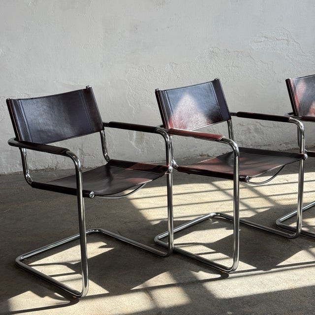 Animal Skin MG5 Leather Chairs by Matteo Grassi, 1970, Set of 4 For Sale - Image 7 of 17
