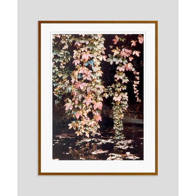 Modern Autumnal Fall 1950s by Peter Cornelius Framed C-Print Photograph For Sale - Image 3 of 3