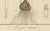 F. Guimpel, Saffron Crocus, Crocus Sativus, 1819, Hand-Colored Engraving For Sale - Image 3 of 7