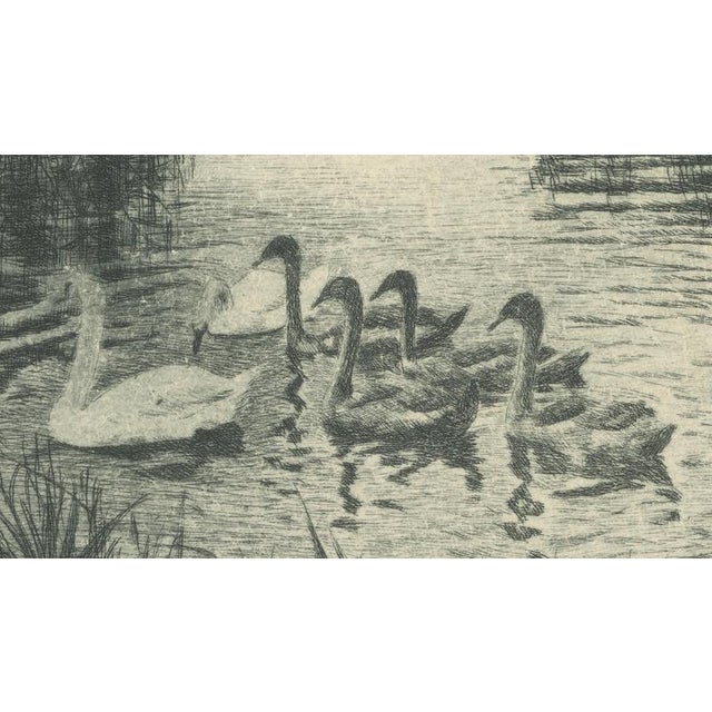 Ernst Kropp, Marsh Landscape with Swans, 1910, Etching For Sale - Image 5 of 9