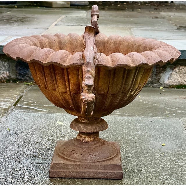 19th century English cast iron urn with Neoclassical lines and branch-form handles, ideal as a garden planter or...
