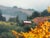 2000 - 2009 June Carey Fall Vineyard Limited Edition Giclée, Signed For Sale - Image 5 of 14