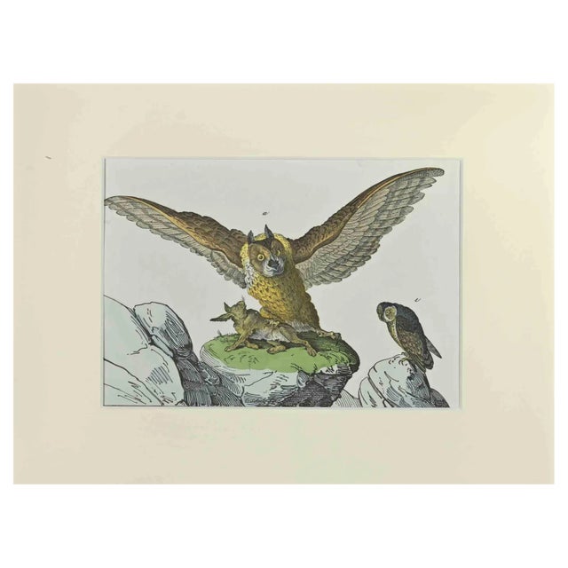 Johann Friedrich Naumann, Great Owl, Etching, 1840 For Sale