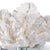 Regina Andrew Flower Coral On Crystal Base in White For Sale - Image 4 of 5