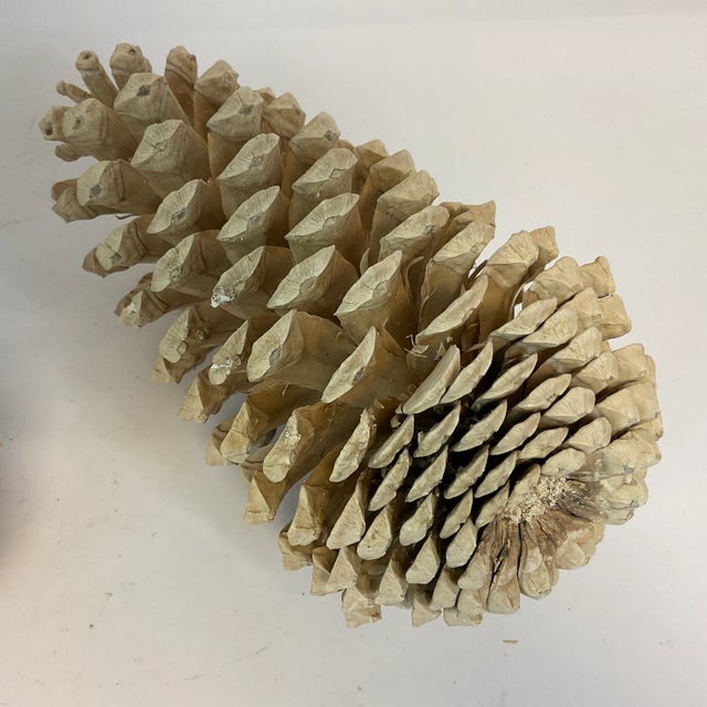 1990s Vintage Arts & Crafts Farmhouse Americana Bleached Pinecones - A Pair, Thanksgiving For Sale - Image 5 of 11