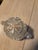 Glass Early American Cut Crystal For Sale - Image 7 of 7