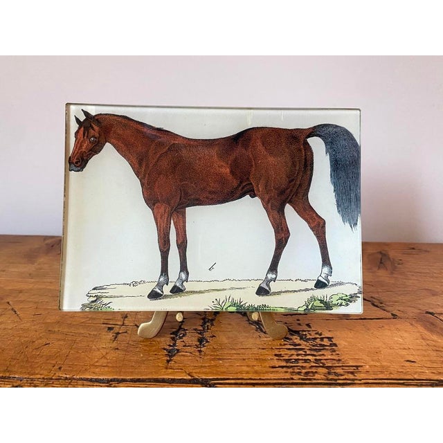 Classic "A Horse" John Derian Decoupage Catchall Tray. I love John Derian's decoupage art pieces and while this is...