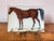 Classic "A Horse" John Derian Decoupage Catchall Tray. I love John Derian's decoupage art pieces and while this is...