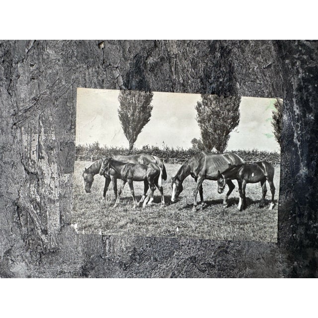 1990s 1990 Oscar Turco Mixed Media Horses in Field Impressionist Abstract Landscape Painting For Sale - Image 5 of 12