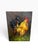 Vintage oil on canvas rooster painting signed by artist. Measures 12” x 16”. Beautiful addition to French country,...