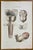 Ottavio Muzzi, Prostate Diseases, Lithograph, 1843 For Sale