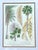 Brown Vintage Framed Botanical Palm Illustrations - Set of 2 For Sale - Image 8 of 15