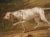 18th Century Large 18th Century French Oil on Canvas Painting Depicting a Hunt Scene For Sale - Image 5 of 13