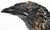 Ceramic Studio Art Pottery Raven For Sale - Image 7 of 10