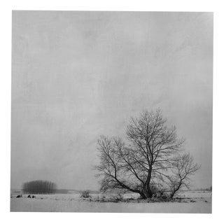 Rosa Basurto, Blanco 7, Black and White Photograph on Cotton Paper For Sale