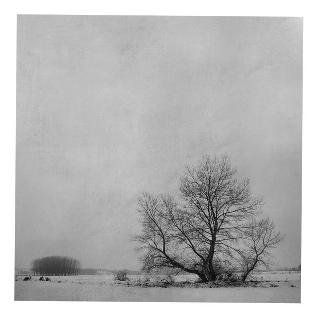 Rosa Basurto, Blanco 7, Black and White Photograph on Cotton Paper For Sale