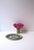 Wedgwood Wedgwood Jasperware Dish or Tray, Neoclassical Style, 20th Century, England For Sale - Image 4 of 10